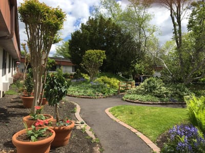 Pathway through a vibrant garden with flowers