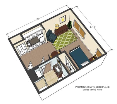Layout of a luxury private room in the facility