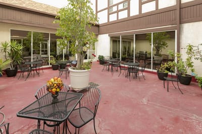 Outdoor seating area with potted plants and tables
