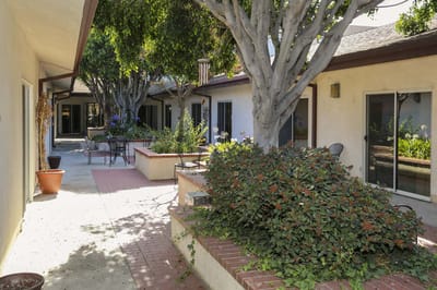 Courtyard area with trees and seating