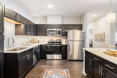 Modern kitchen with appliances and cabinetry