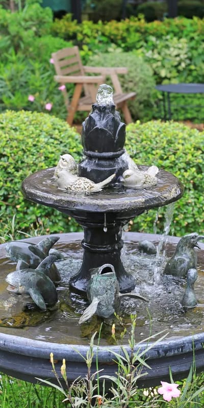 Garden fountain surrounded by greenery and benches