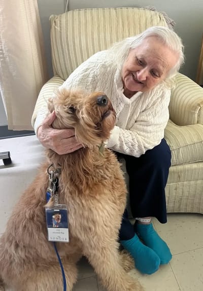 Elderly woman petting a dog in a cozy setting.
