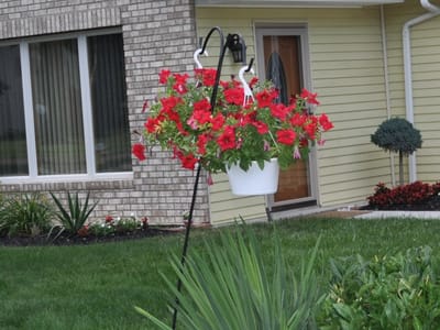 A colorful hanging flower basket in front of a facility