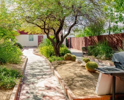 Pathway in a garden area with greenery and cacti