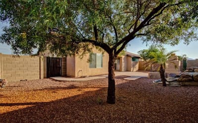 Outdoor space featuring trees and gravel landscape