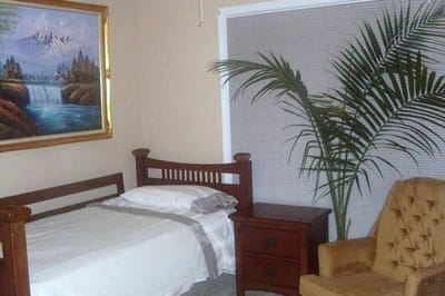 A cozy bedroom in a senior care facility with a palm tree