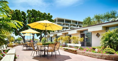 Outdoor seating area with umbrellas and green landscaping