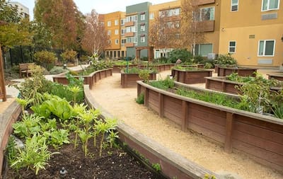 Community garden with raised planter beds