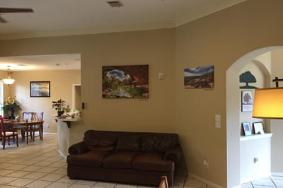 Interior living area with couches and artwork