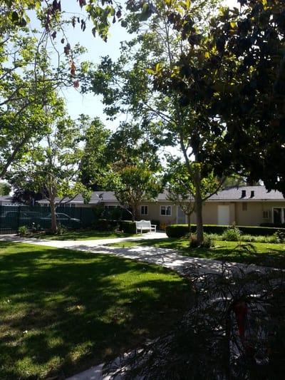 Sunny outdoor space with trees and benches