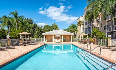 Outdoor swimming pool area with lounge chairs and palm trees