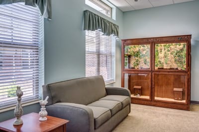 Common area with a couch and a terrarium