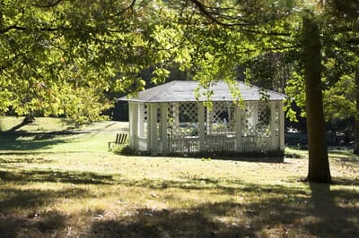 A white gazebo surrounded by greenery