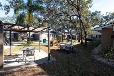 Outdoor seating area with trees and shade structures