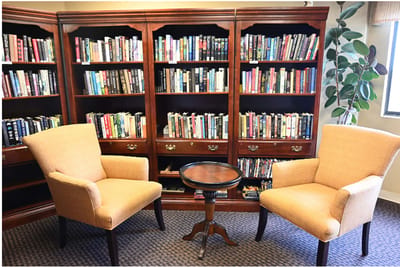 Cozy seating area with bookshelves in the background