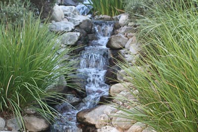 A tranquil outdoor water feature surrounded by lush greenery