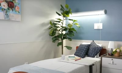 Cozy resident room setup with plants and soft lighting