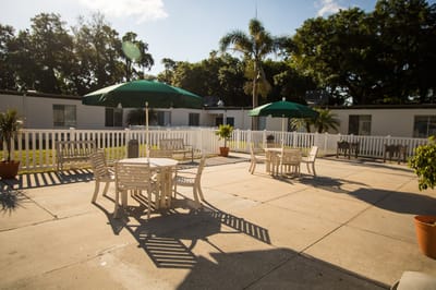 Outdoor seating area with tables and umbrellas