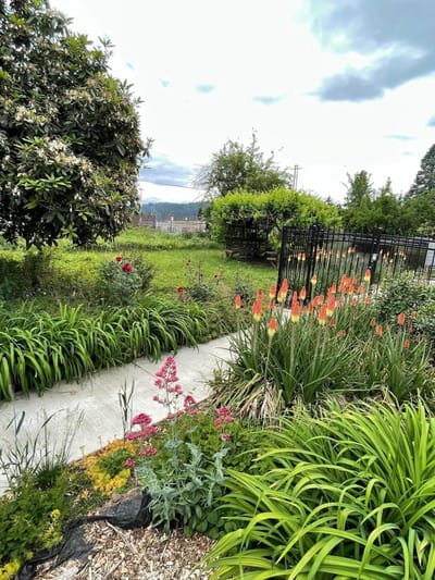 Lush garden area with colorful flowers and pathways