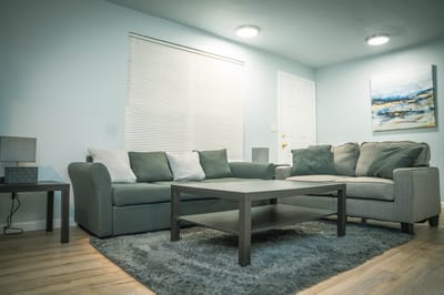 Bright and cozy lounge area with couches