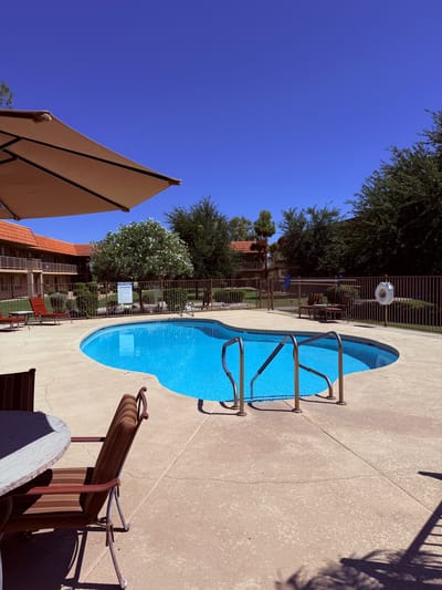 Swimming pool area surrounded by greenery