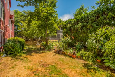 Well-maintained garden area with lush greenery