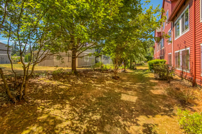 Outdoor garden space near the building