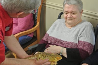 Resident interacting with a reptile during an activity