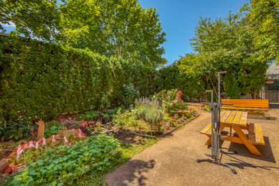 A serene outdoor garden space with benches