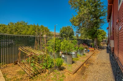 Community garden area with plants and trees