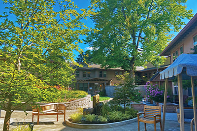 Serene courtyard with trees and seating
