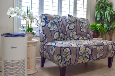 Cozy seating area with decorative plants and air purifier