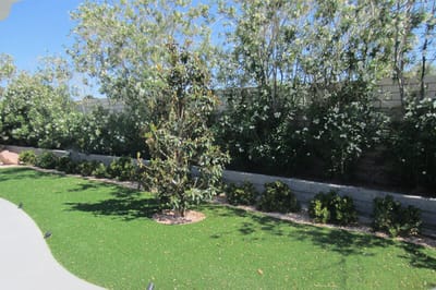 Well-maintained outdoor garden area