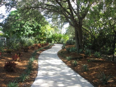 A serene garden path shaded by trees
