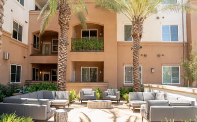 Outdoor seating area with palm trees and lounge furniture