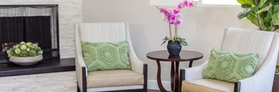 Cozy seating area with decorative plants and fireplace