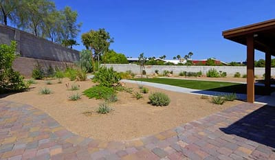 Outdoor garden area with desert landscaping