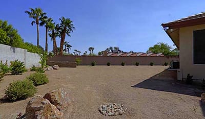Sunny outdoor space with palm trees and landscaped area