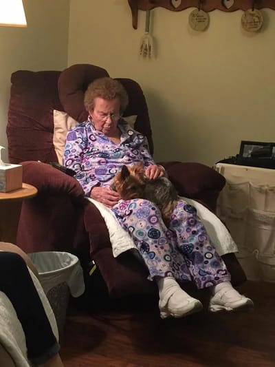 Resident relaxing in a chair with a small dog