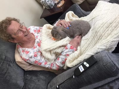 Resident smiling with a rabbit on their lap