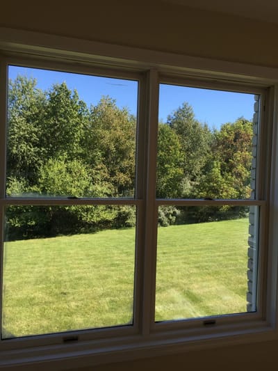 View of a grassy area and trees outside a window