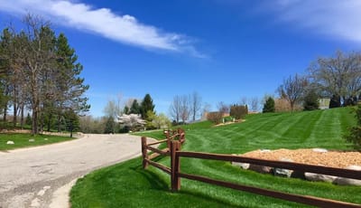 A landscaped outdoor space with trees and grass