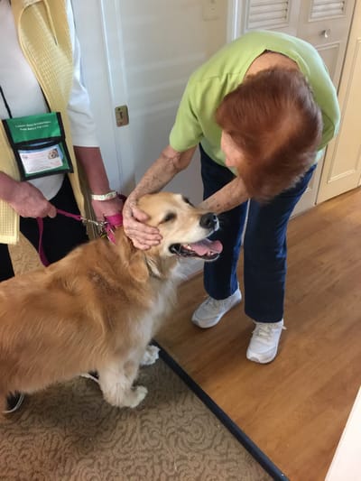 Residents interacting with a therapy dog in the facility