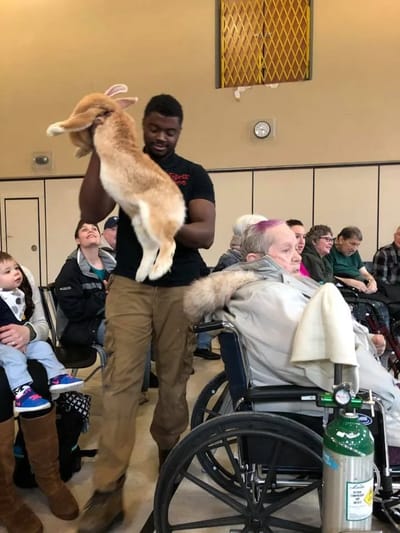 Resident engagement activity featuring a petting zoo