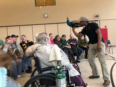 Resident watching a presentation with a peacock