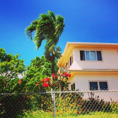 Exterior view of a care facility with palm trees