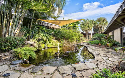 Serene outdoor space with pond and greenery