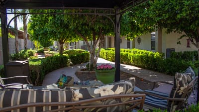 A tranquil outdoor sitting area with lush greenery
