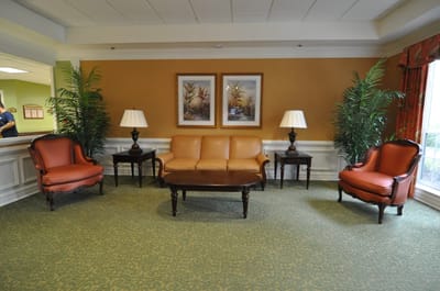 Cozy lounge area with seating and plants